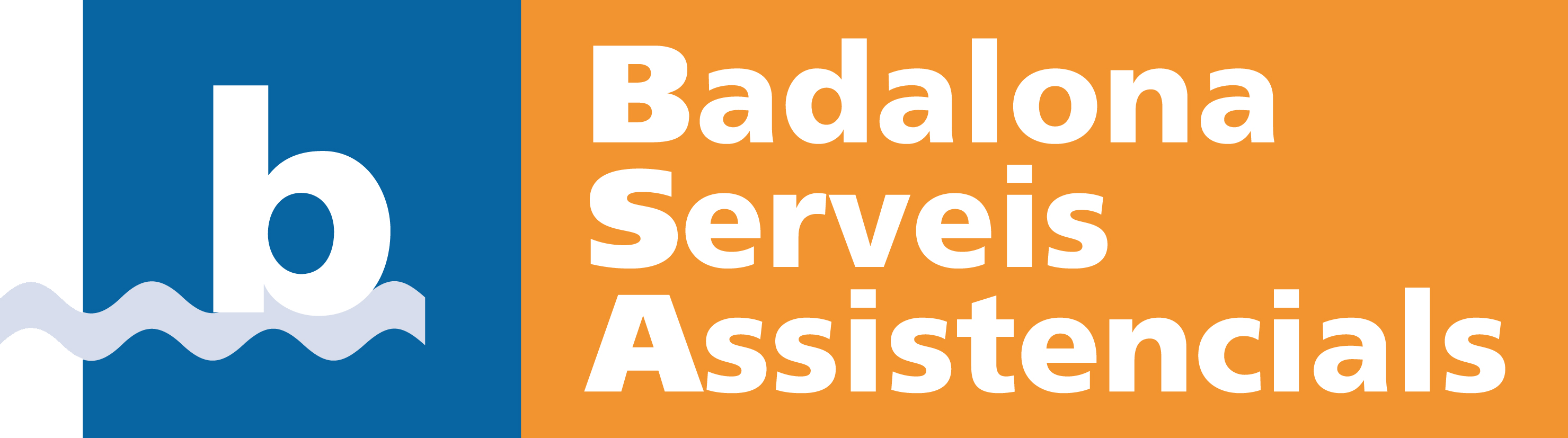 Badalona Serveis Assistencials